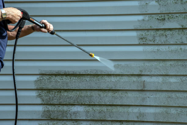 Best Pressure Washing Brick  in White Knoll, SC