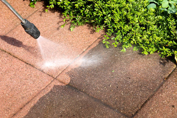 Best Deck Pressure Washing  in White Knoll, SC